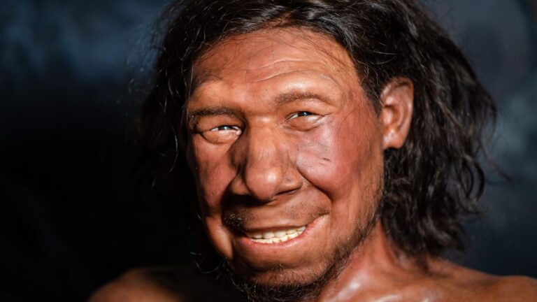 Reconstructie van de eerste neanderthaler van Nederland: Krijn.