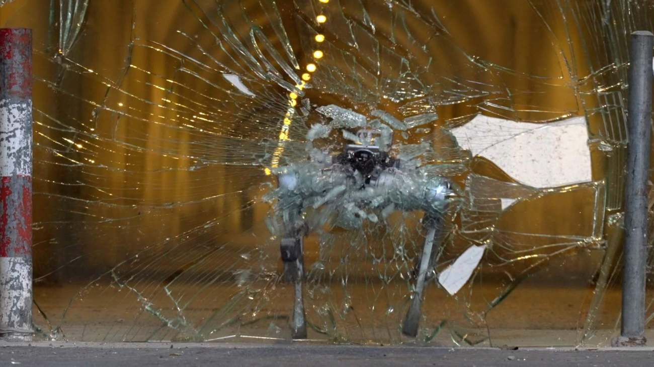 robothond a2 rent door glas