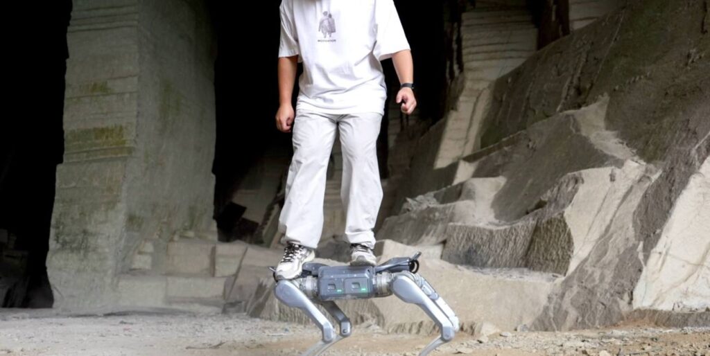 man staat op rug van robothond