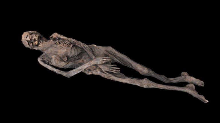 de ijsmummie met tatoeages