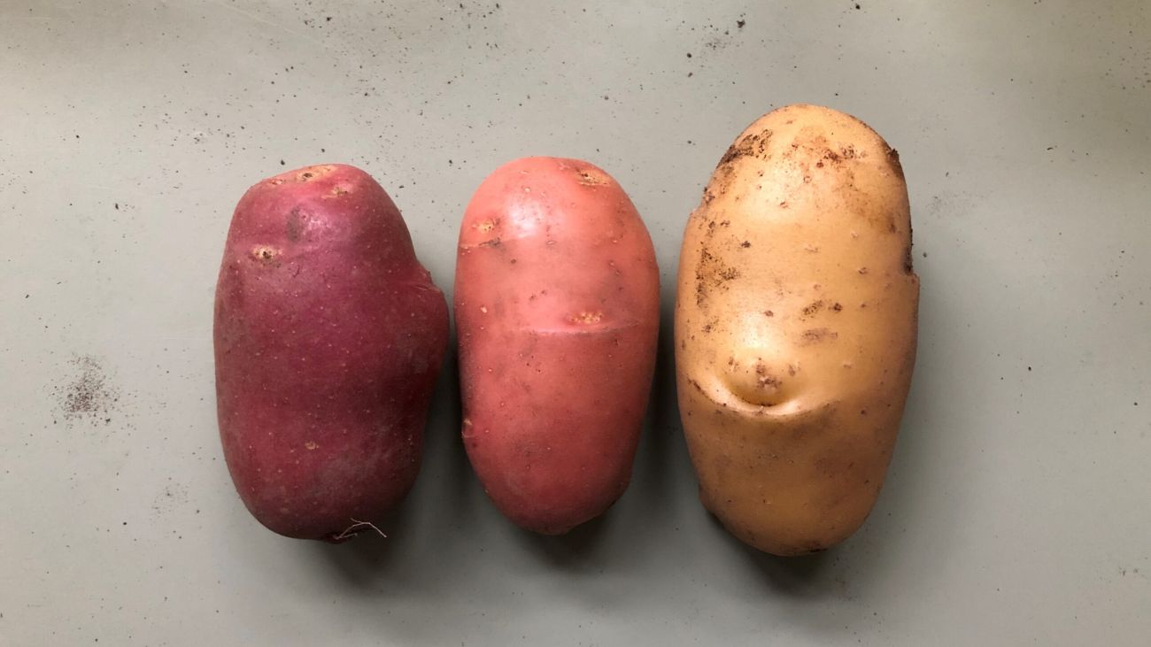 huidtransplantatie aardappel