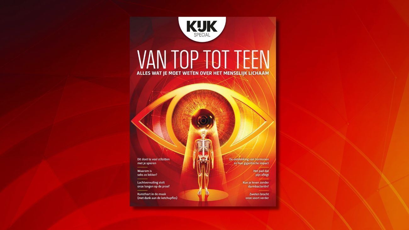 Cover van KIJK-special: Van top tot teen menselijk lichaam