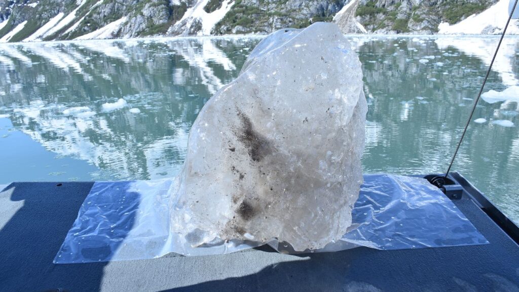 Een beetje ijs uit Northwestern Glacier, met daarin het sediment