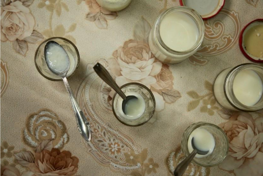 De onderzoekers proefden de door mieren gemaakte yoghurt