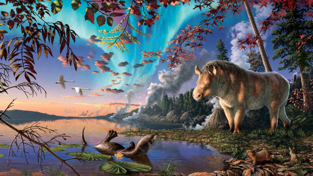 Neushoorns leefden ooit in het noordpoolgebied