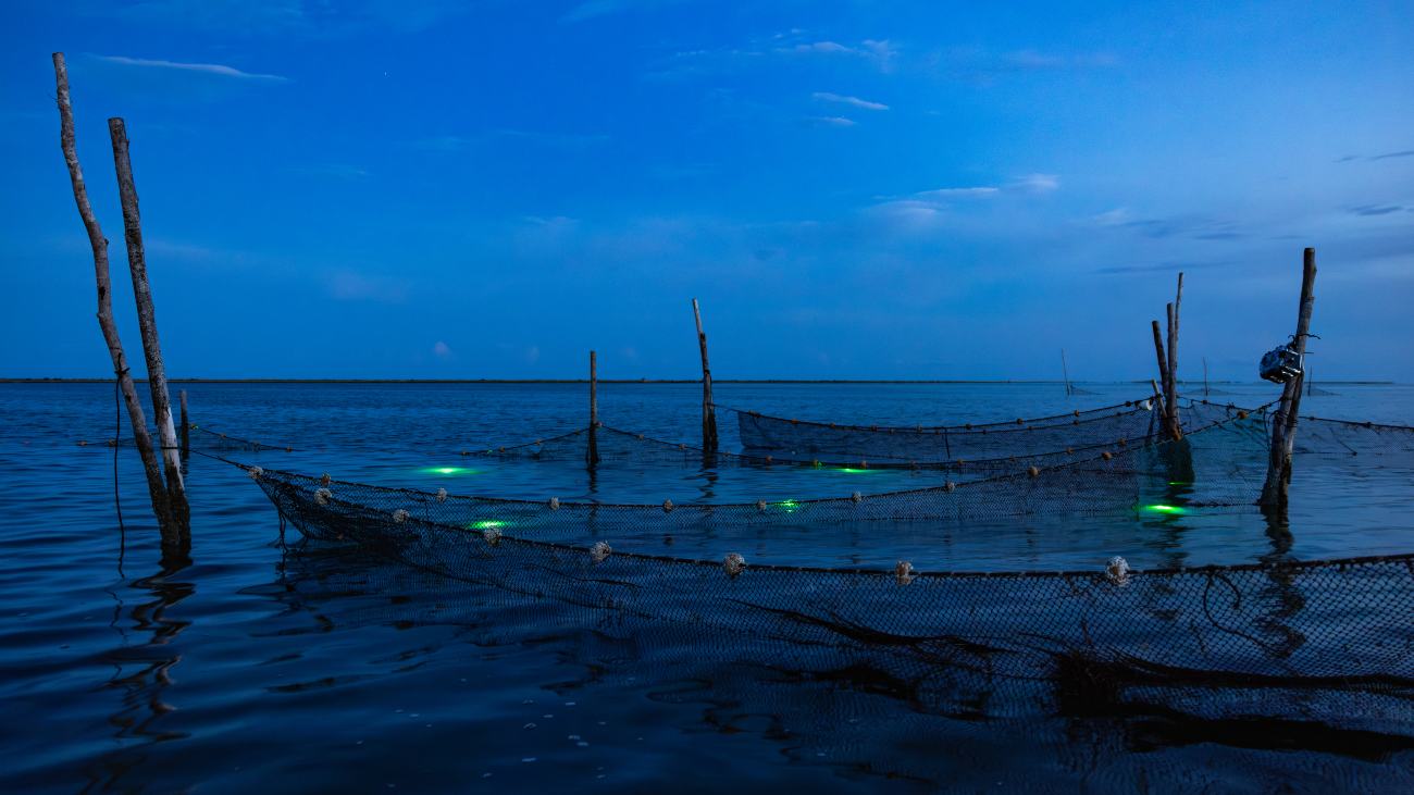 bijvangst verlicht visnet