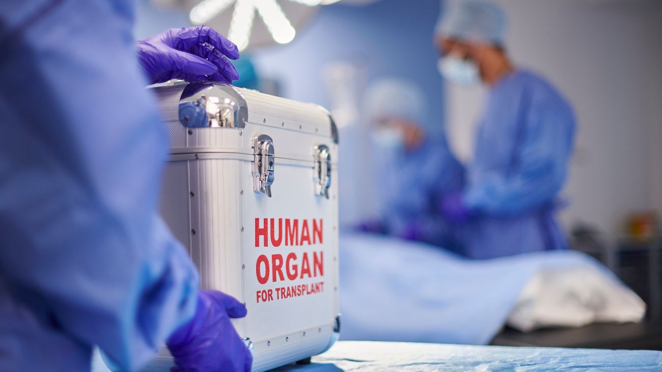 donororgaan in bewaardoos