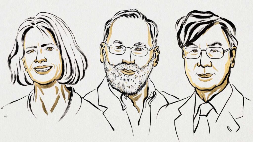 De winnaars van de Nobelprijs voor Geneeskunde 2025, immuunziekten