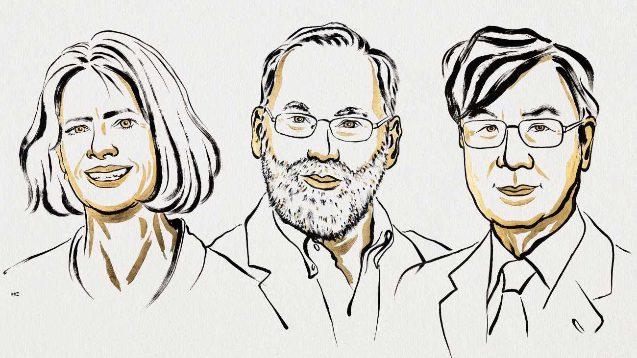 De winnaars van de Nobelprijs voor Geneeskunde 2025, immuunziekten