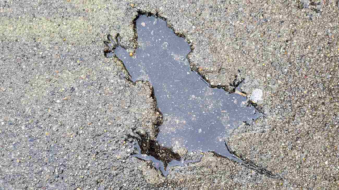 rat hole, waarschijnlijk gemaakt door eekhoorn