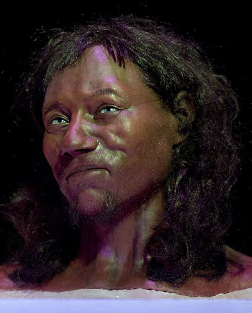 Gezichtsreconstructie van Cheddar Man