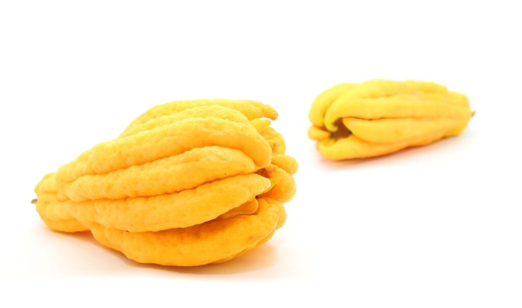 Een gesloten Boeddha's hand