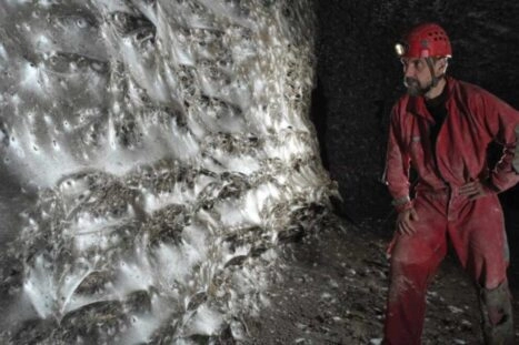 Onderzoeker kijkt naar het grootste spinnenweb