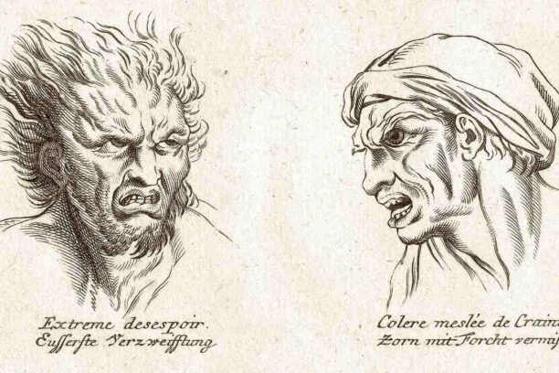 Een tekening uit een negentiende-eeuws boek over fysionomie