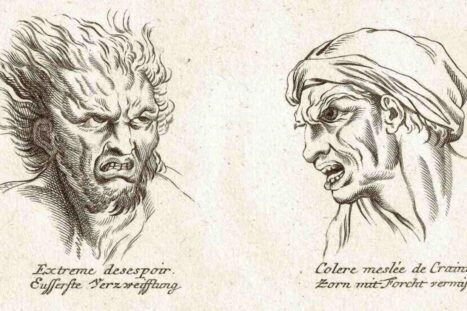 Een tekening uit een negentiende-eeuws boek over fysionomie