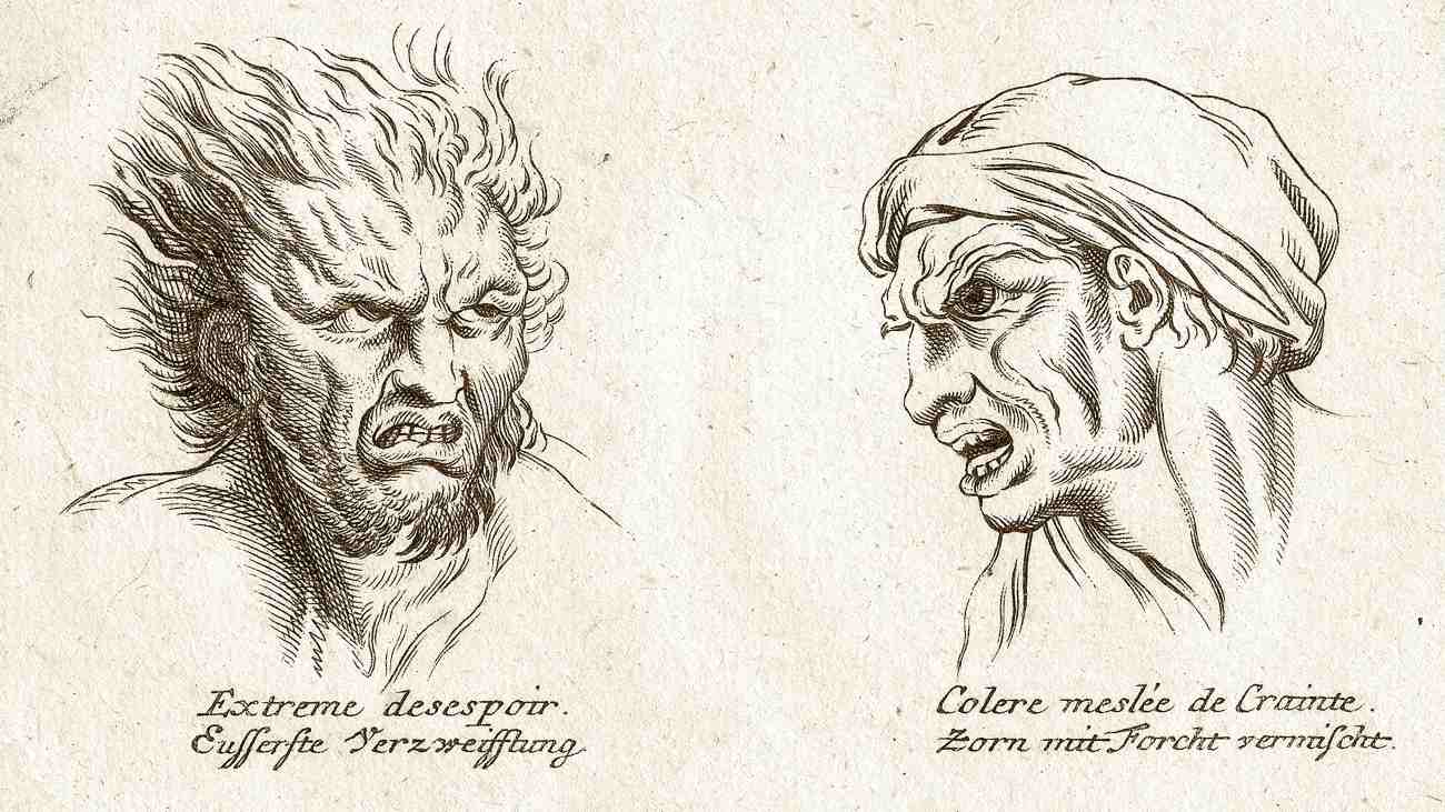 Een tekening uit een negentiende-eeuws boek over fysionomie