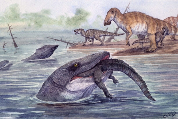 illustratie van de mosasaurus in een rivier