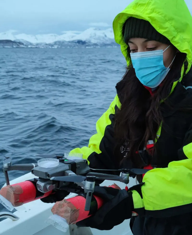 Speciaal uitgeruste drone die de gesprayde ademdruppeltjes van walvissen kan opvangen