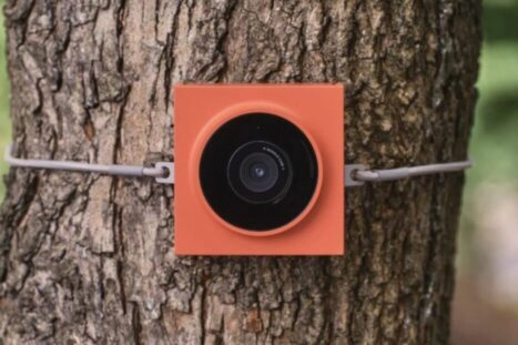 wildcamera behold cam 1