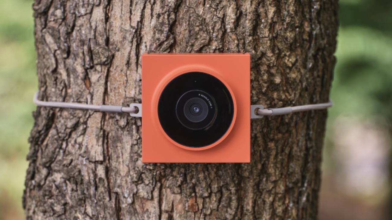 wildcamera behold cam 1