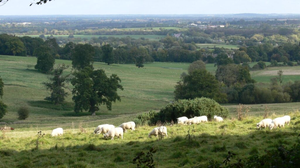 platteland waar de onderzoekers microplastics maten