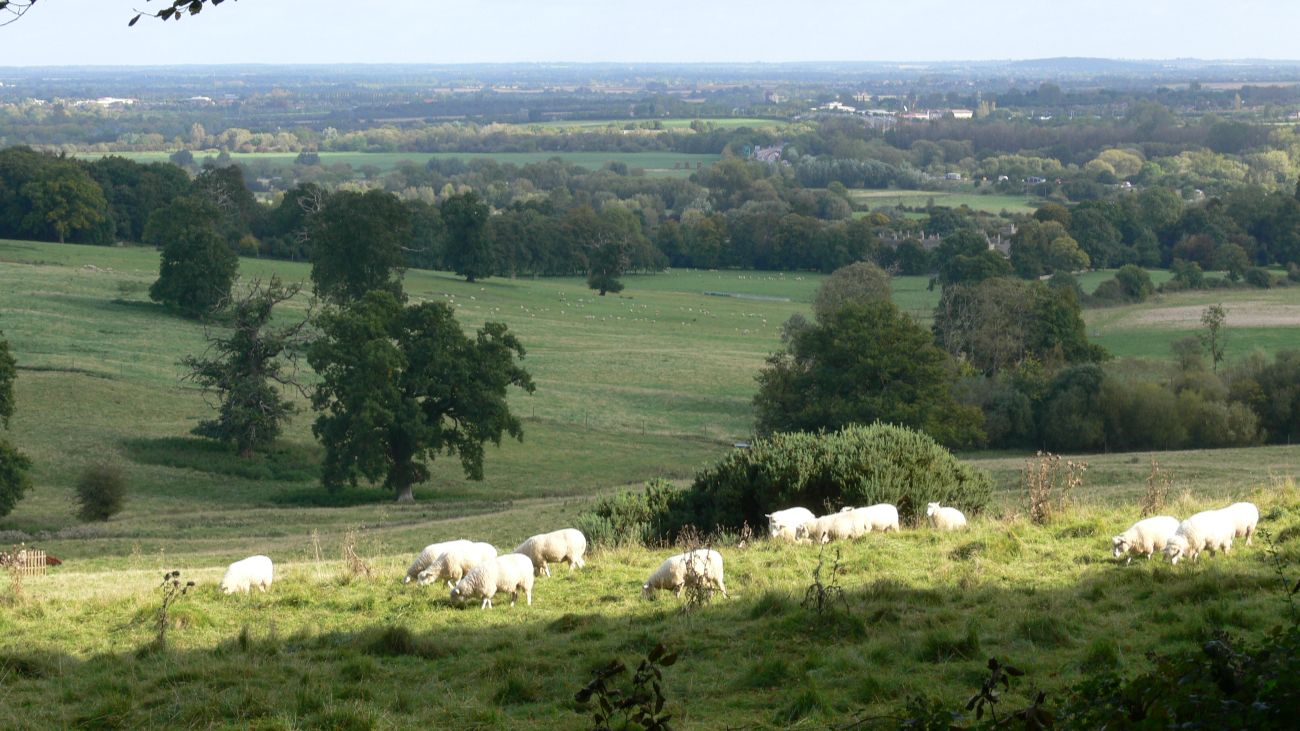 platteland waar de onderzoekers microplastics maten