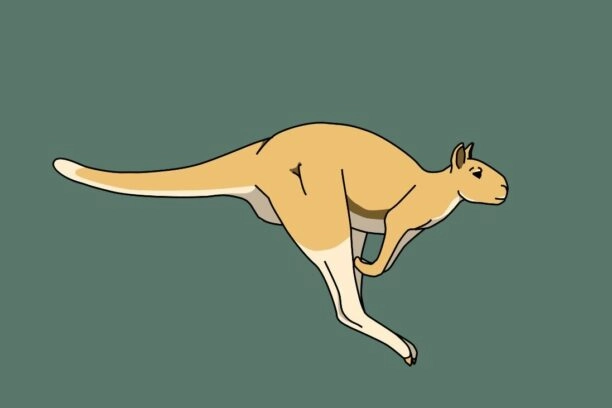 gigantische kangoeroe