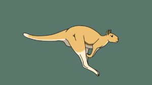 gigantische kangoeroe