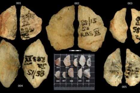 De gevonden pijlpunten met gif