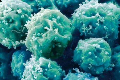 Embryonale stamcellen