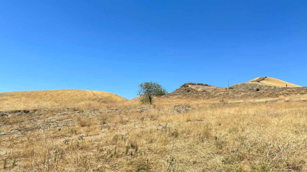 De bodem in droge gebieden, zoals hier in Californië, bevat meer antibioticaresistente bacteriën