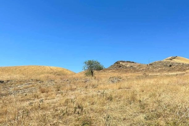 De bodem in droge gebieden, zoals hier in Californië, bevat meer antibioticaresistente bacteriën