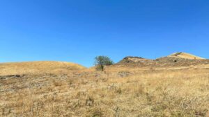 De bodem in droge gebieden, zoals hier in Californië, bevat meer antibioticaresistente bacteriën