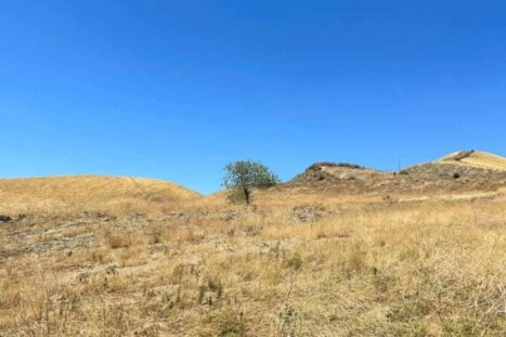 De bodem in droge gebieden, zoals hier in Californië, bevat meer antibioticaresistente bacteriën