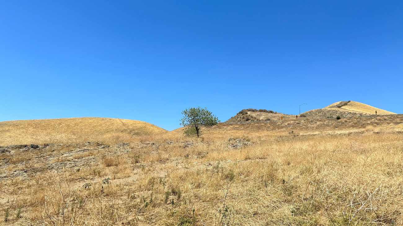 De bodem in droge gebieden, zoals hier in Californië, bevat meer antibioticaresistente bacteriën