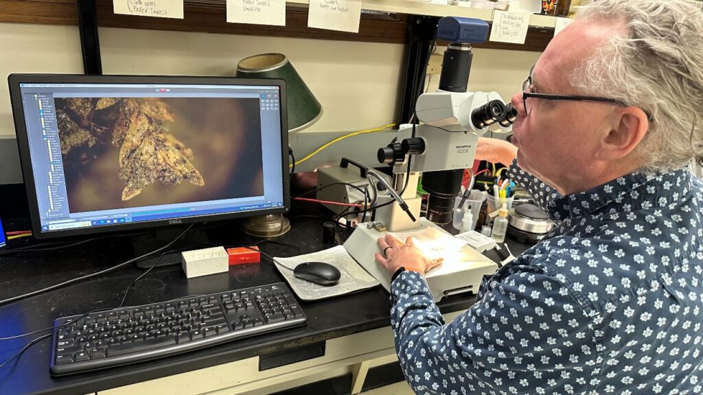 Matt von Konrad onderzoekt in zijn laboratorium het kleine stukje mos dat gebruikt is om vier verdachten mee te veroordelen.