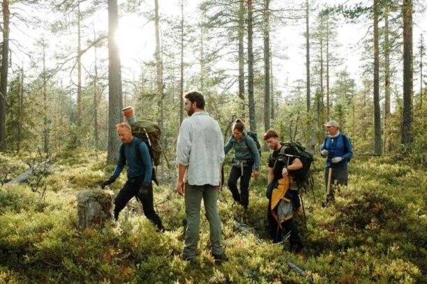 Wetenschappers tijdens veldonderzoek in een Zweeds oerbos