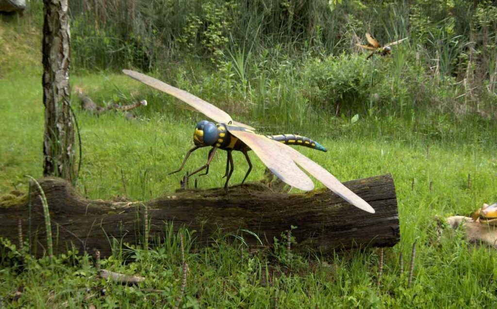 Het insectengeslacht Meganeura leek op moderne libellen, maar was vele malen grote – zoals dit model goed laat zien.