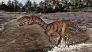 Labrujasuchus expectatus
