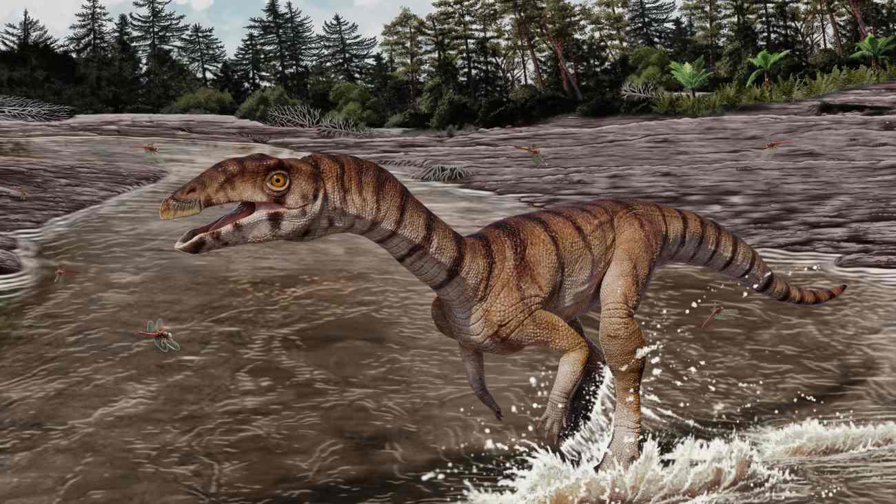 Labrujasuchus expectatus