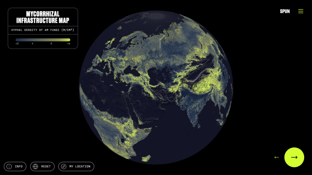 De gecreëerde mycorrhizal infrastructure map