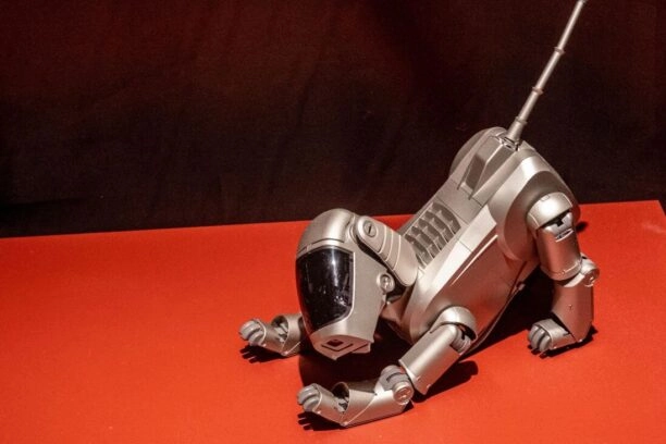 Robothuisdier hond