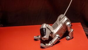 Robothuisdier hond
