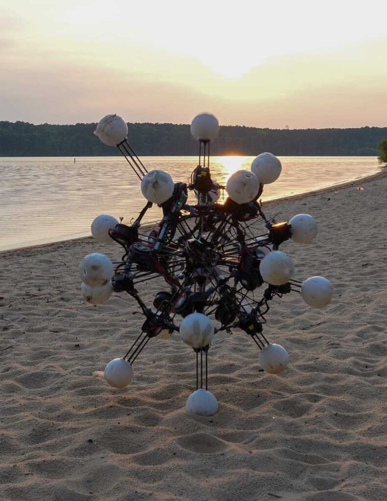 Argus op het strand bij zonsondergang