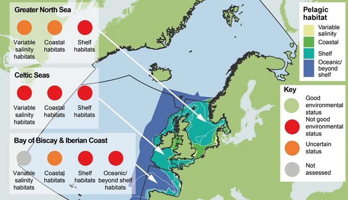 Kaart van West-Europa met drie zones waar het slecht gaat met het plankton in de zee