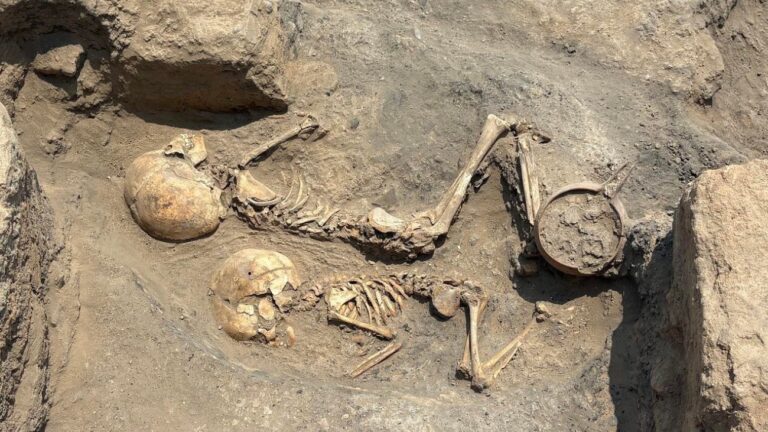 Skeletten van kleuter en peuter uit prehistorie