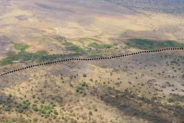 zambia