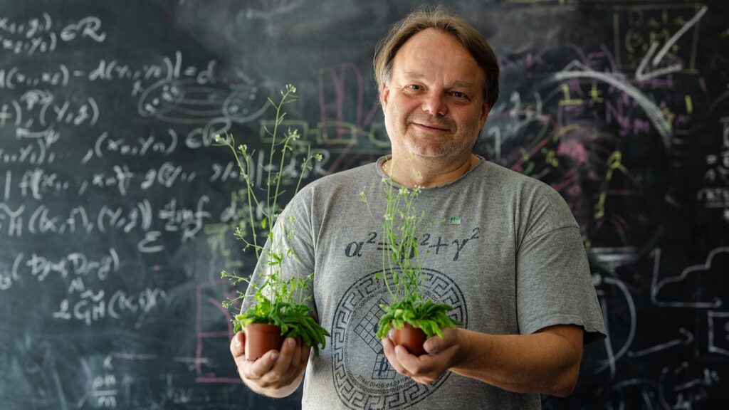 Onderzoeker Friml met twee van de planten die gebruikt zijn in het experiment