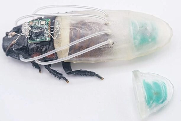 Een van de cyborg-kakkerlakken met een duikpak
