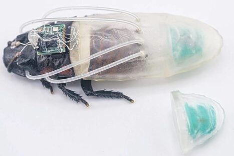 Een van de cyborg-kakkerlakken met een duikpak
